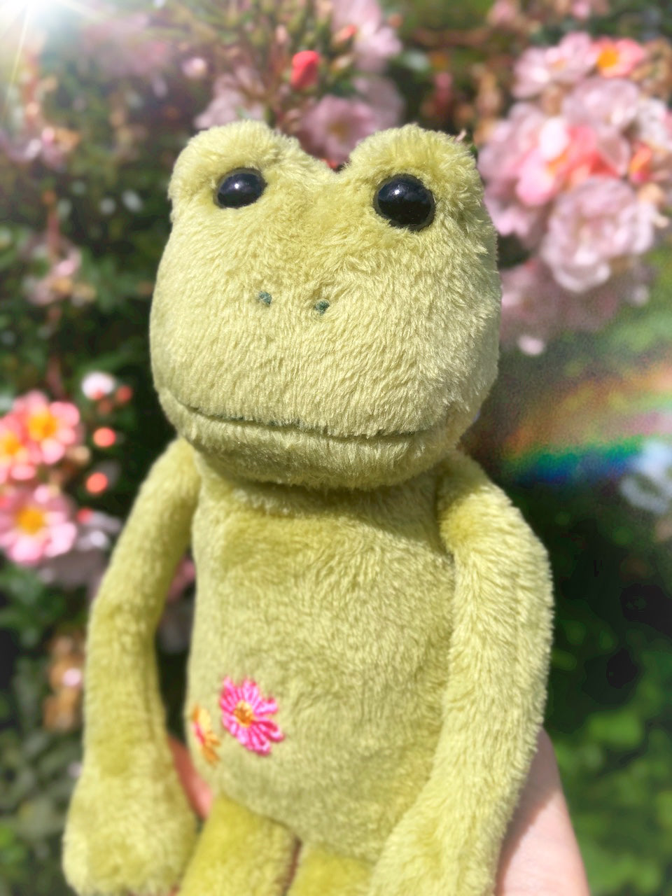 ‘HOPEFUL HAMISH’ - Handmade Weighted Plush Frog Doll