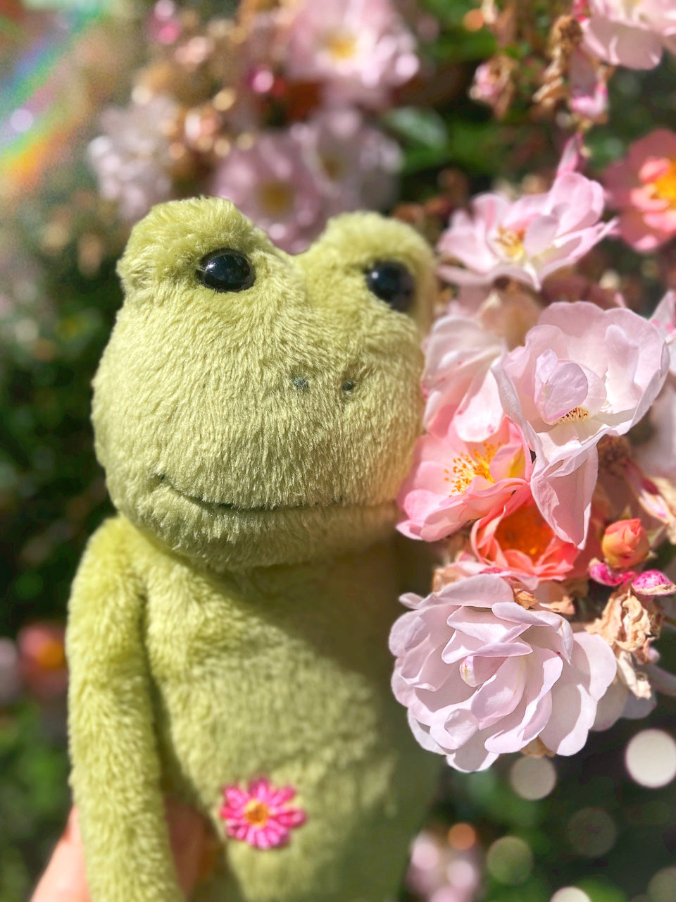 ‘HOPEFUL HAMISH’ - Handmade Weighted Plush Frog Doll