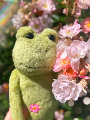 ‘HOPEFUL HAMISH’ - Handmade Weighted Plush Frog Doll