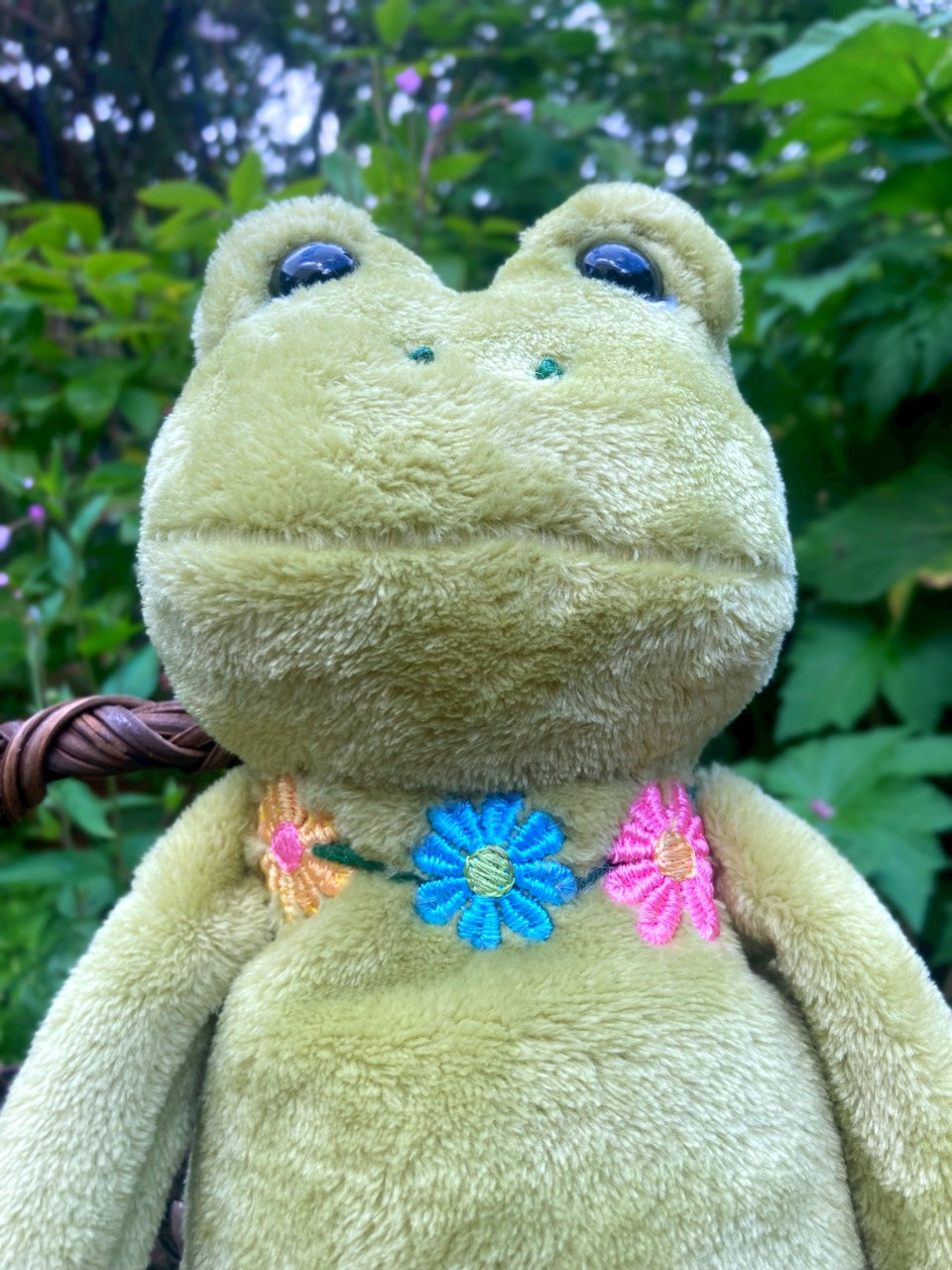 ‘HOPEFUL HERB’ - Handmade Weighted Plush Frog Doll