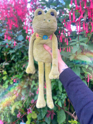 ‘HOPEFUL HERB’ - Handmade Weighted Plush Frog Doll