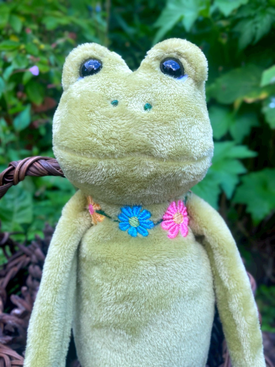 ‘HOPEFUL HERB’ - Handmade Weighted Plush Frog Doll