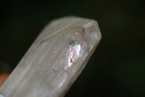 SPIRITUS Rare Pink Danburite Necklace with Pyrite & Rainbow Inclusions