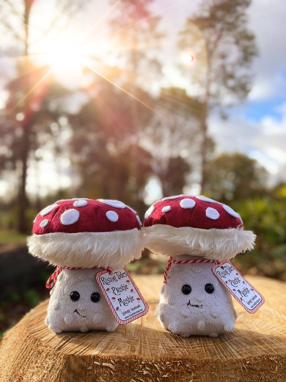 *Pre-Order* The Plushie Mushie - Handmade Plush Mushroom Friend